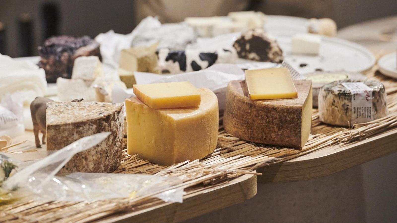 Tradición, preparación y sabores únicos de los quesos artesanos