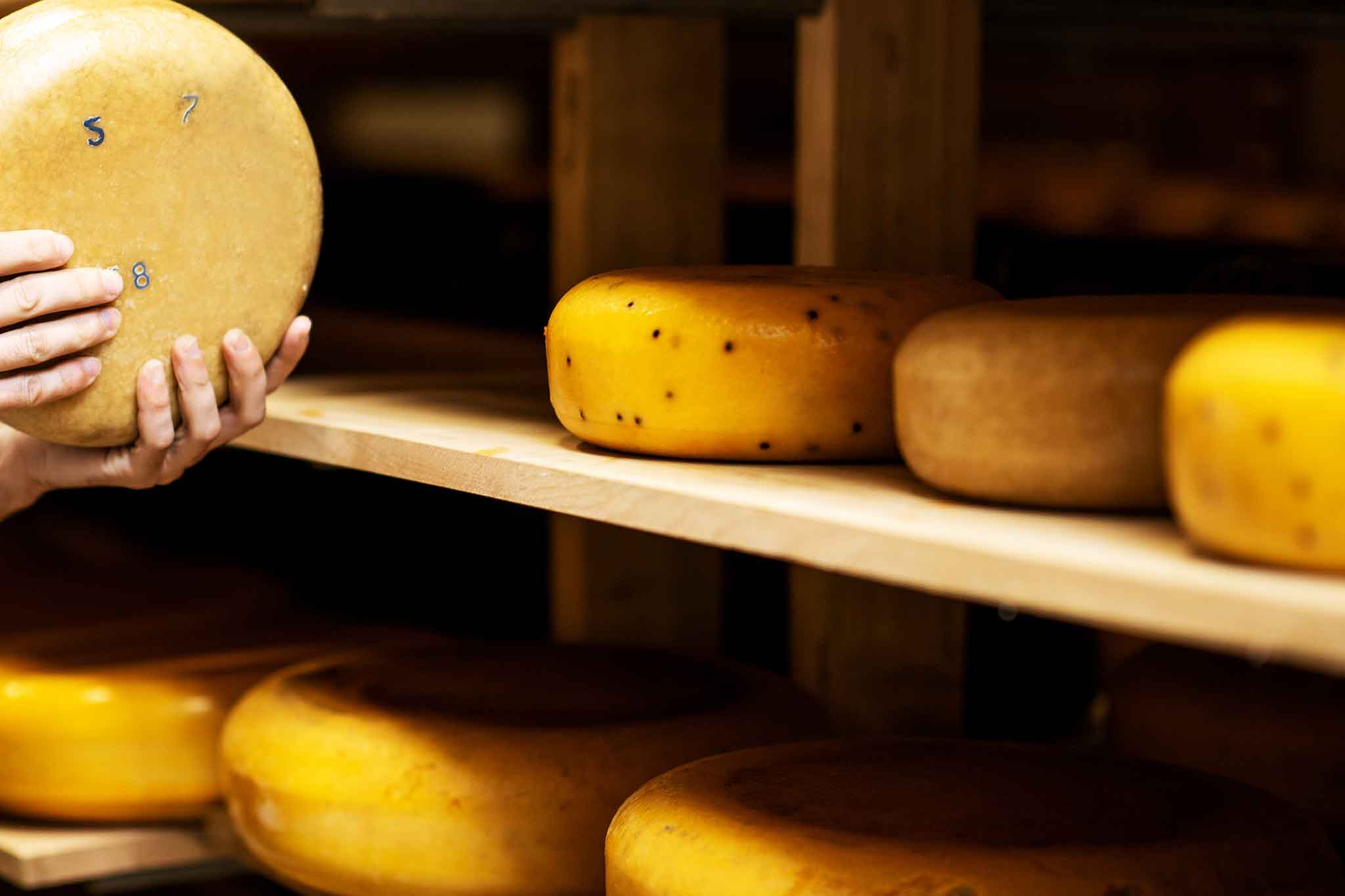 Los mejores quesos holandeses: marcas destacadas, calidad y usos culinarios